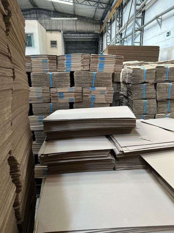 Distribuidora de caixa de papelão sp